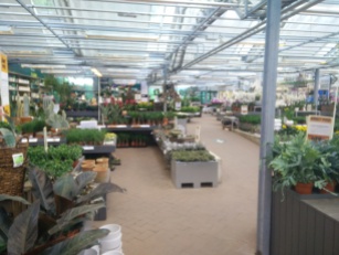Visisted the nursery in the Botanical gardens
